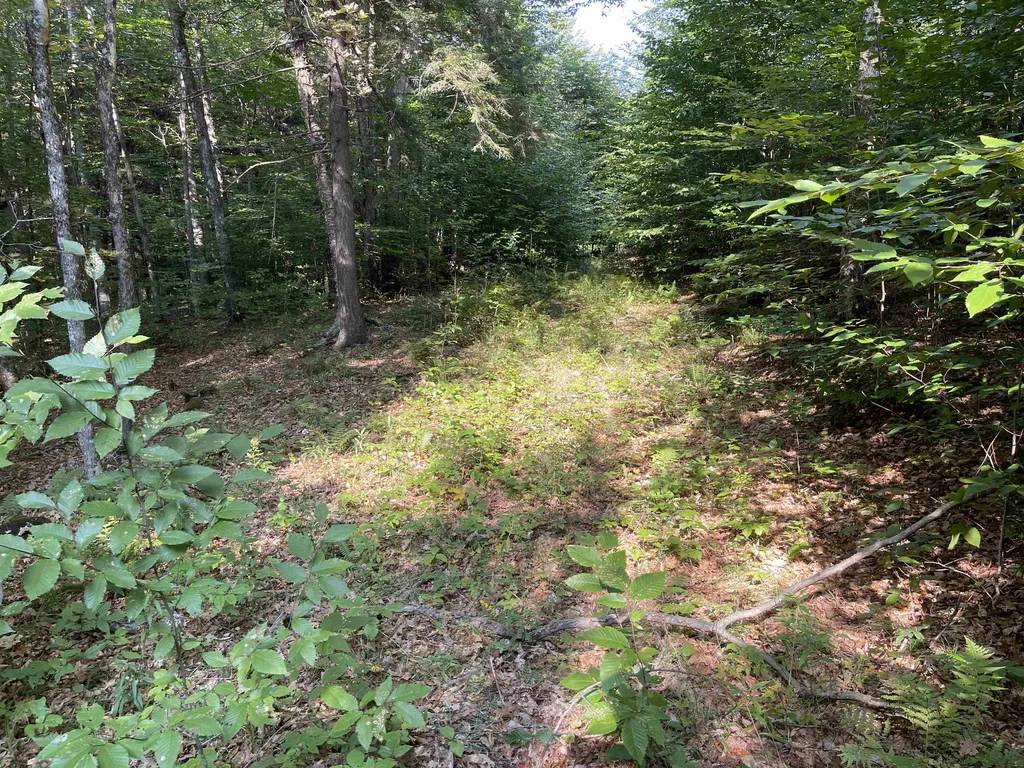 0 Rabbit Hill Way Woodstock VT 05091