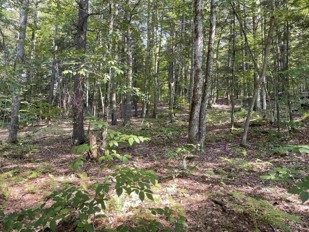 0 Rabbit Hill Way Woodstock VT 05091
