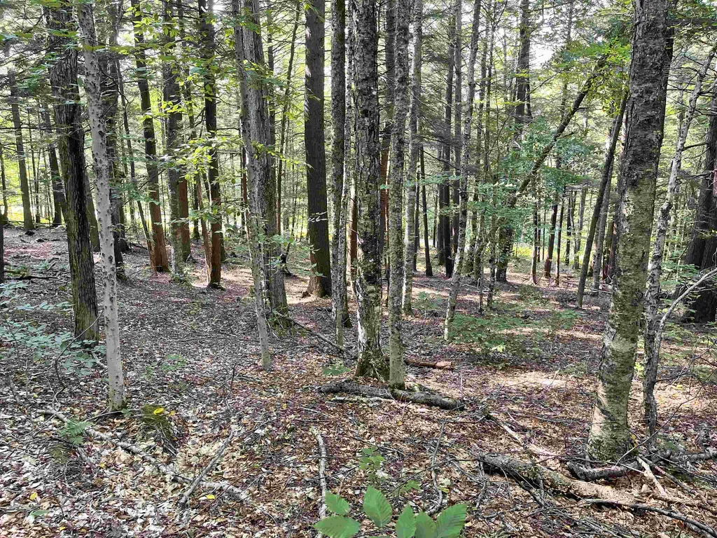 0 Rabbit Hill Way Woodstock VT 05091