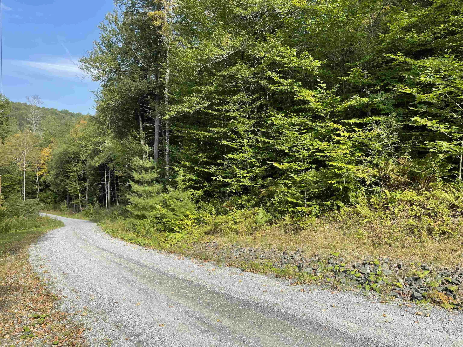 0 Rabbit Hill Way Woodstock VT 05091