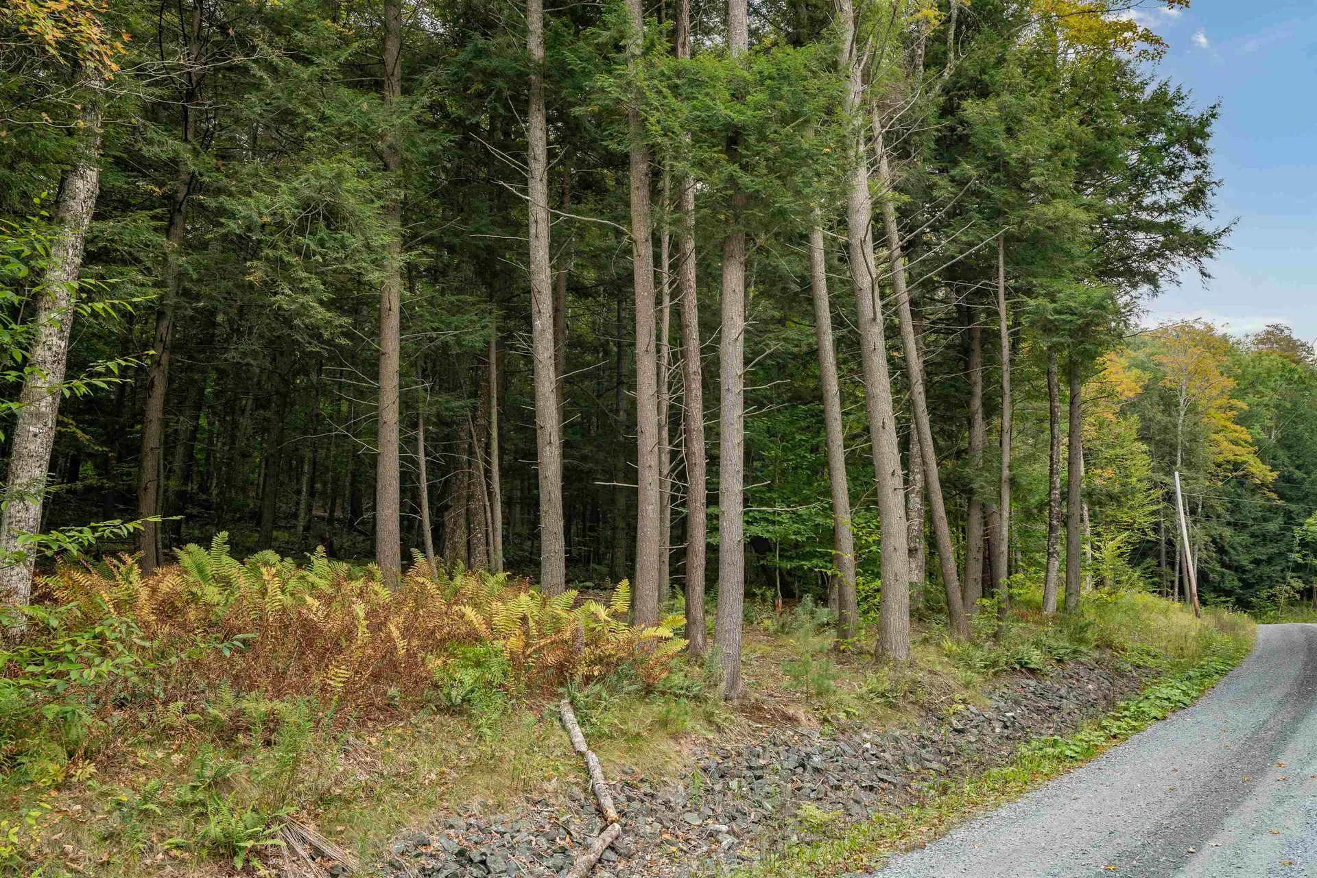 0 Rabbit Hill Way Woodstock VT 05091