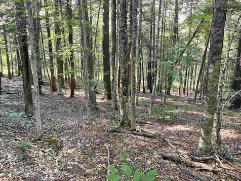 0 Rabbit Hill Way Woodstock VT 05091