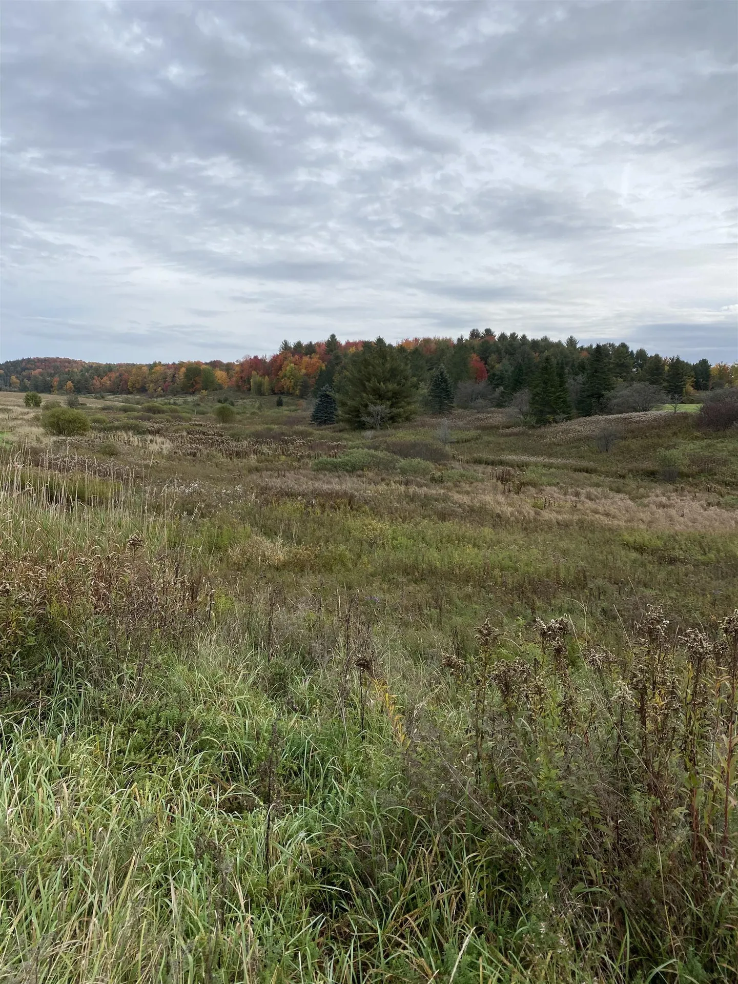 37 Hawley Road Fairfax VT 05454