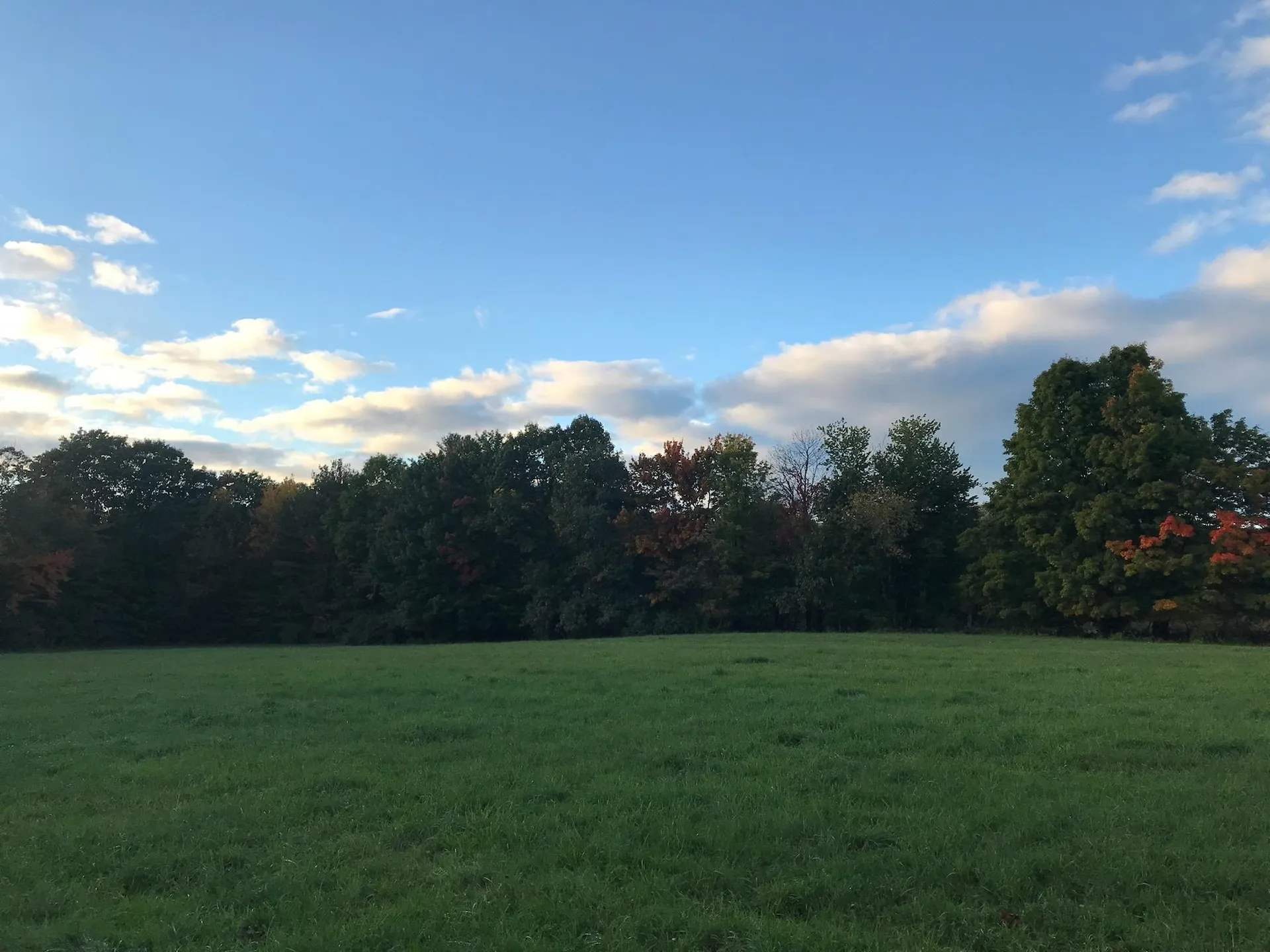 Joppa Hill Road Bedford NH 03110