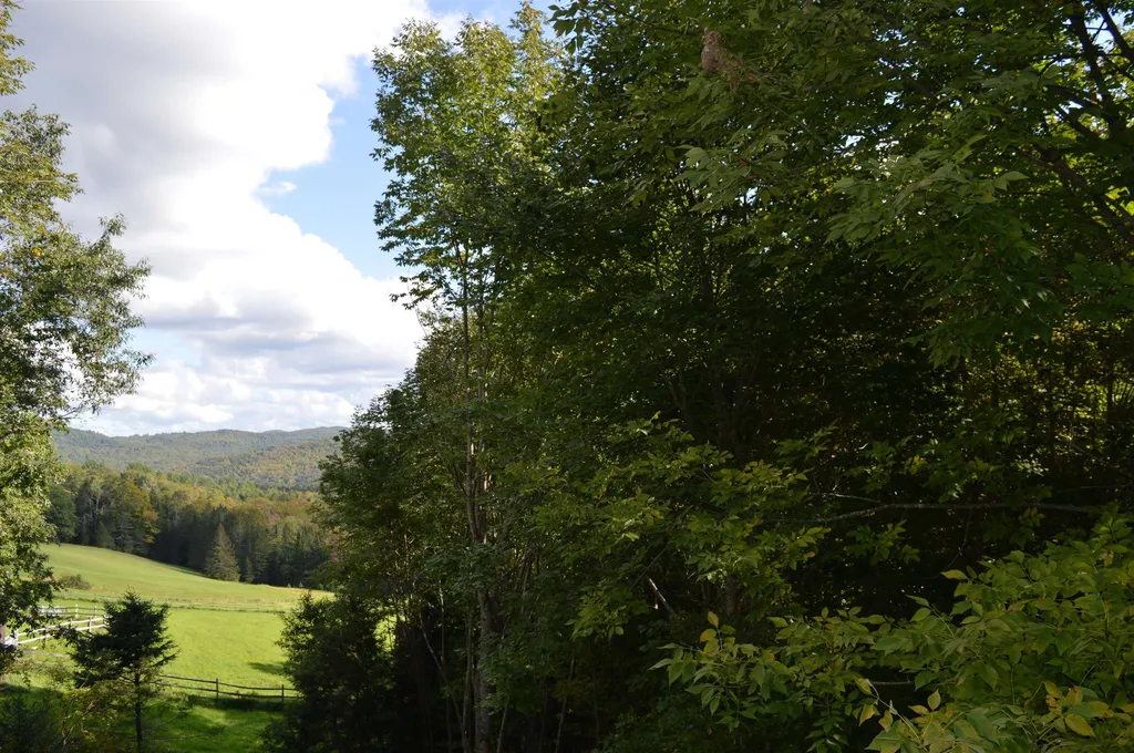 1285 White Road Corinth VT 05039