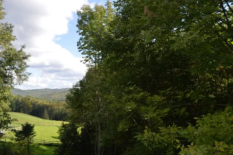 1285 White Road Corinth VT 05039