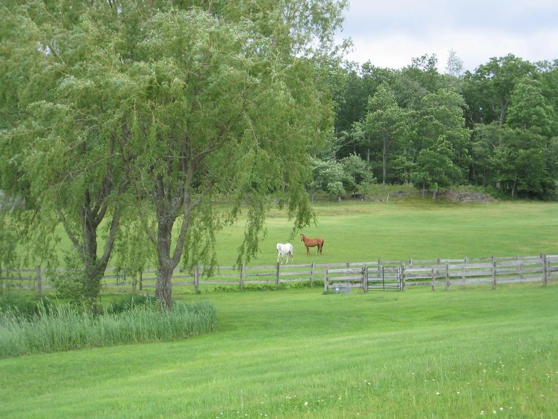 249 Bragg Hill Norwich VT 05055
