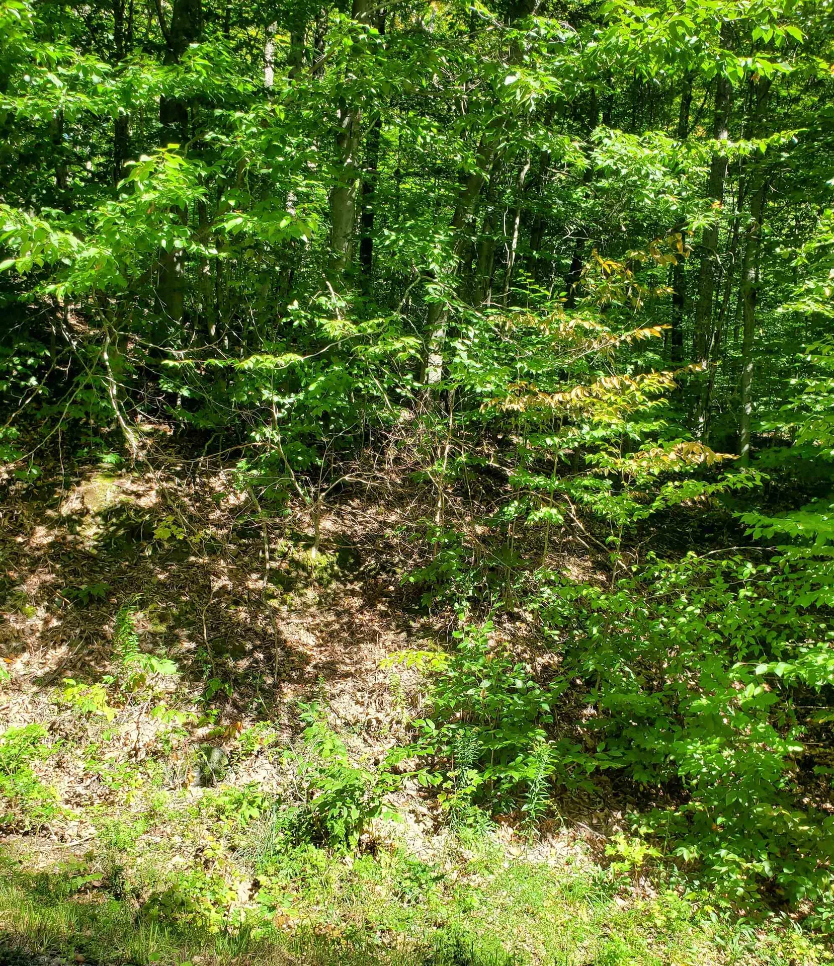 I 33 Tweed River Road Stockbridge VT 05772