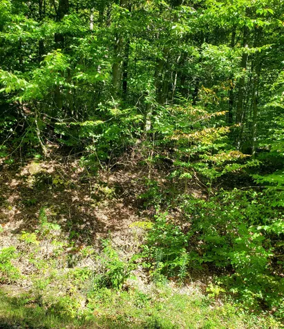 I 33 Tweed River Road Stockbridge VT 05772
