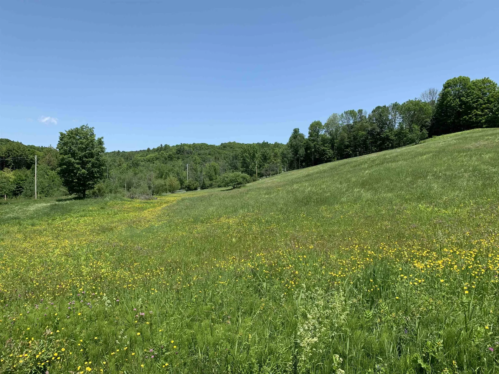 87 Aldrich Farm Road Sharon VT 05065