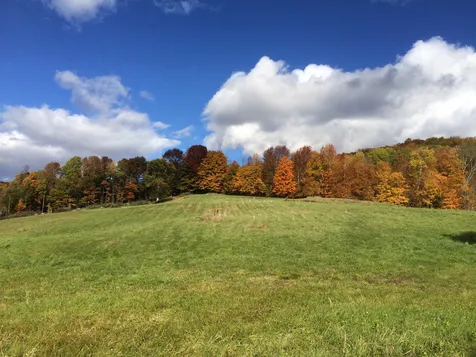 87 Aldrich Farm Road Sharon VT 05065