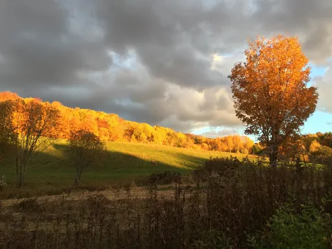 87 Aldrich Farm Road Sharon VT 05065