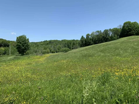 87 Aldrich Farm Road Sharon VT 05065