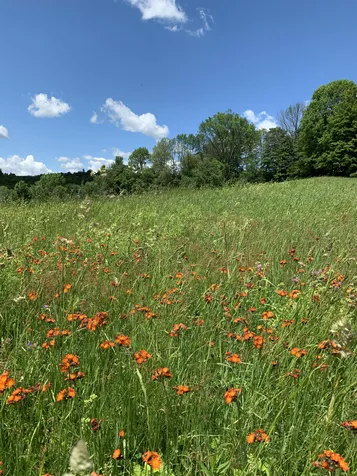 87 Aldrich Farm Road Sharon VT 05065