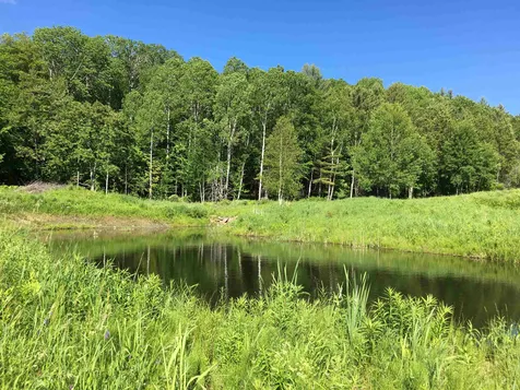 87 Aldrich Farm Road Sharon VT 05065