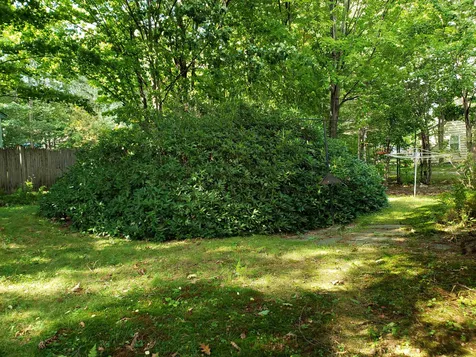 60 Young Street Lebanon NH 03766