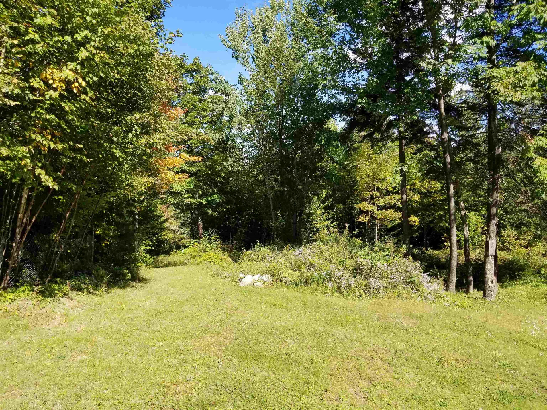 1344 Corey Hill Road Newbury VT 05051