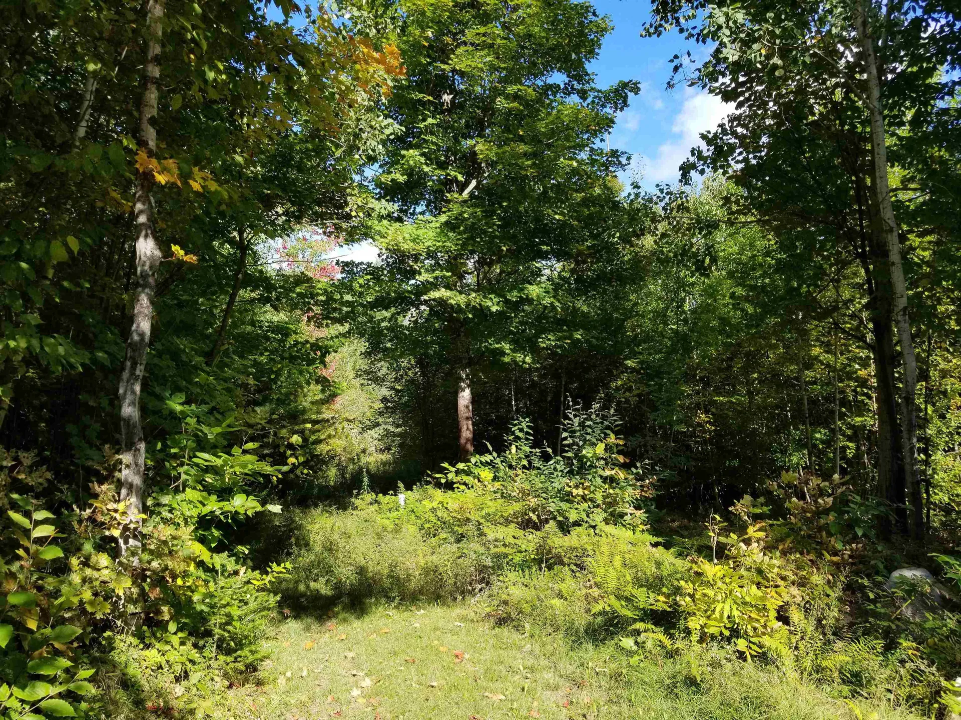 1344 Corey Hill Road Newbury VT 05051