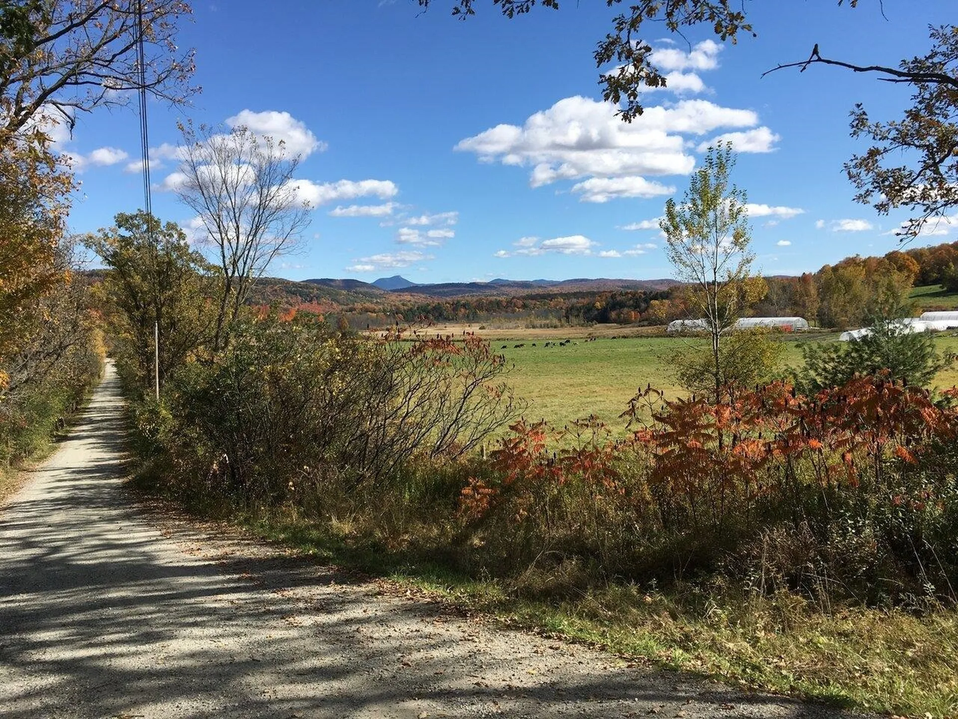 531 Weed Road Hinesburg VT 05461
