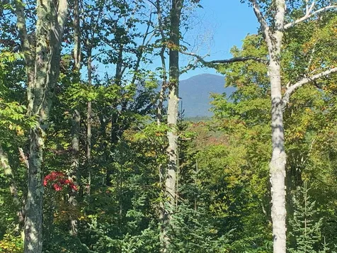 228 Loop Road Warren VT 05674