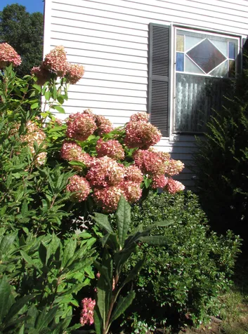 117 Pine Street Brattleboro VT 05301