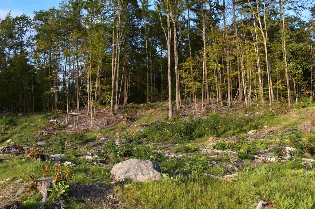 129 Rankin Road Bridgewater NH 03222