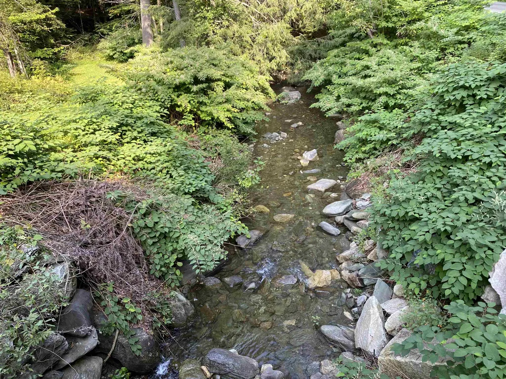 489 Lilliesville Brook Road Bethel VT 05032