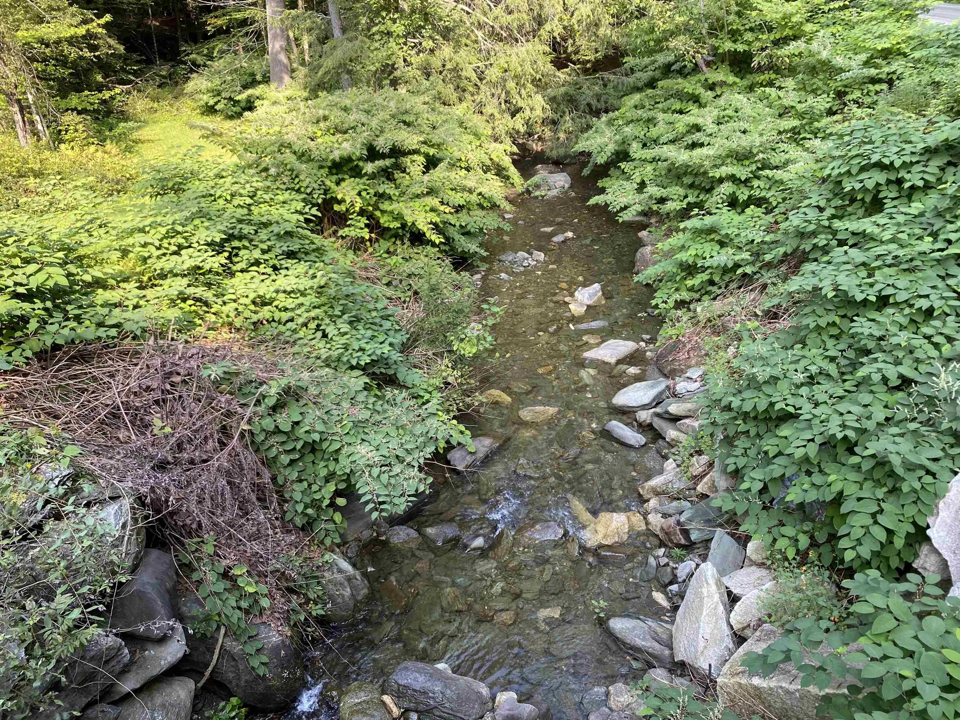 489 Lilliesville Brook Road Bethel VT 05032