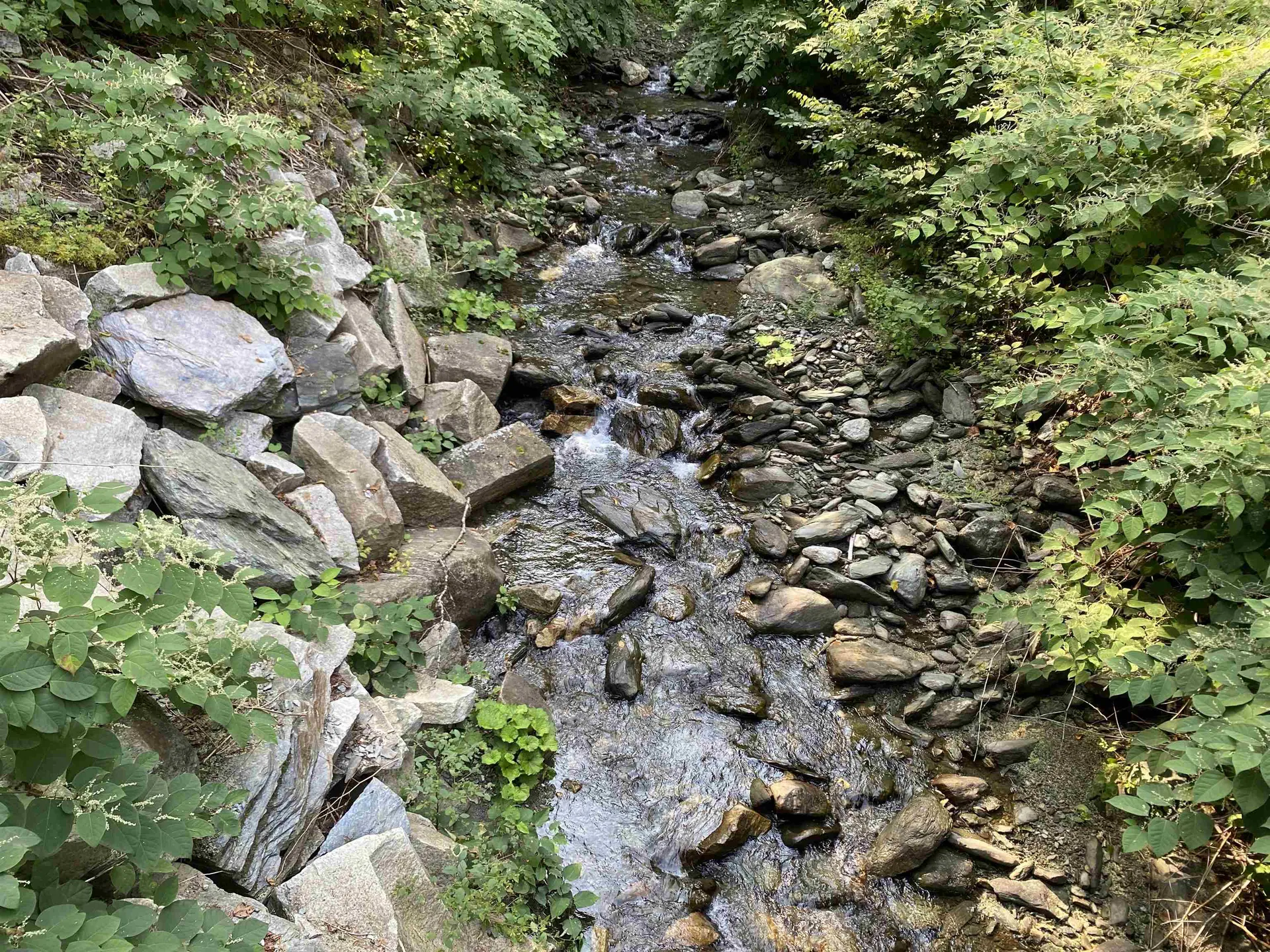 489 Lilliesville Brook Road Bethel VT 05032