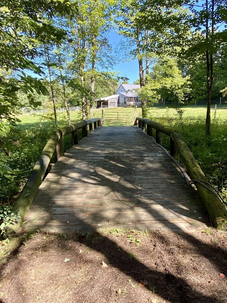 41 Brackett Road Wolfeboro NH 03894