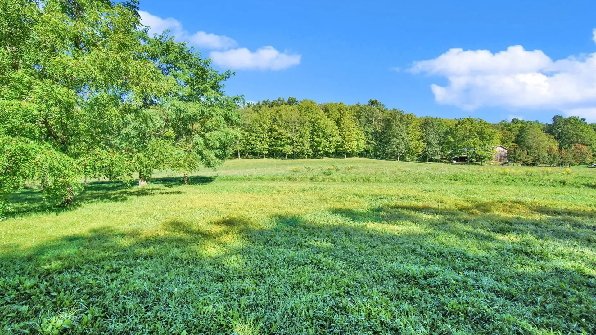 407 Hemenway Road Bridport VT 05734