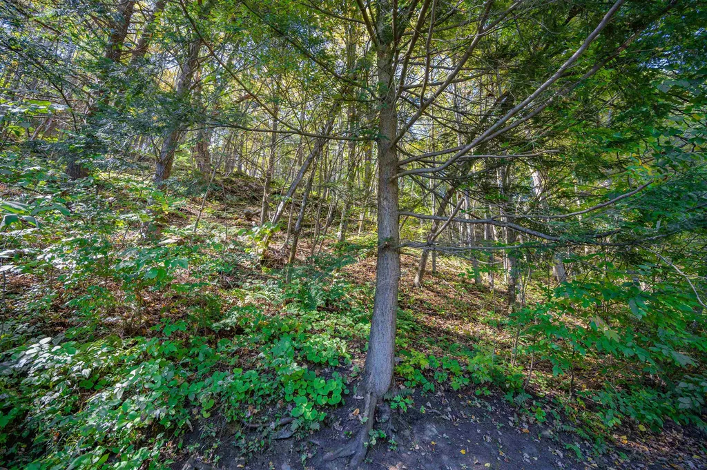 192 Farwell Street Barre Town VT 05641