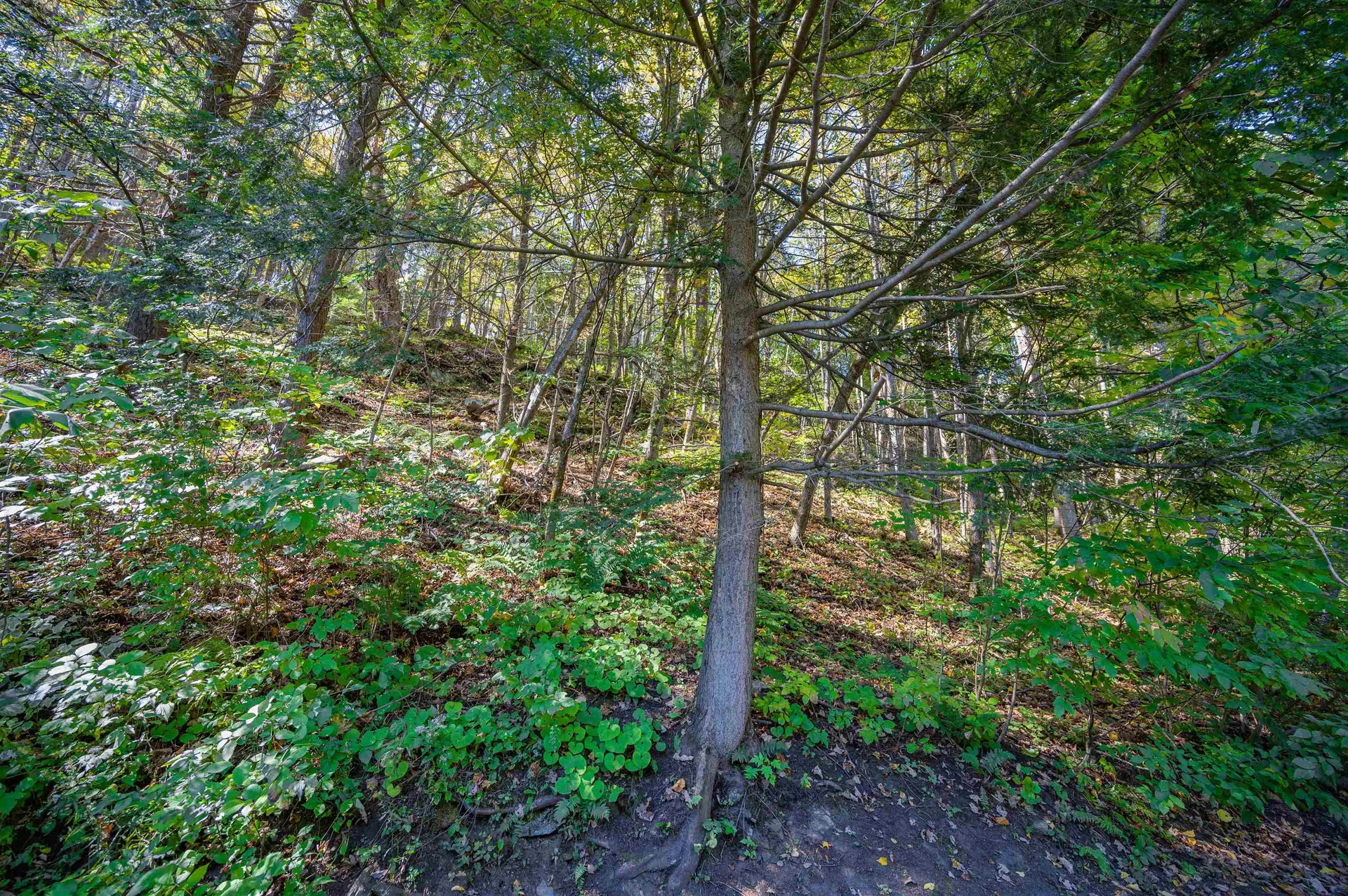 192 Farwell Street Barre Town VT 05641