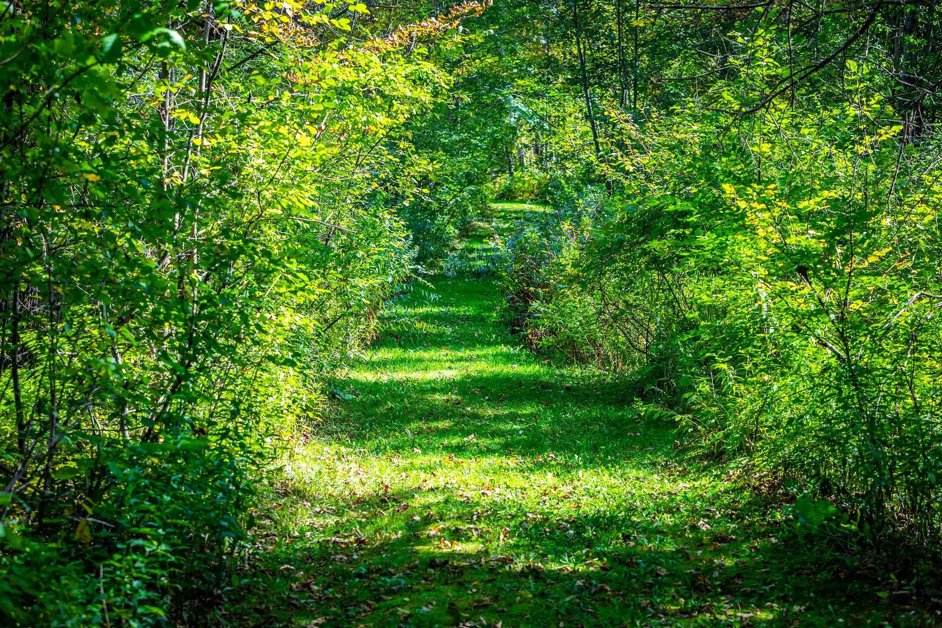 5518 Vt Route 12 Barnard VT 05031