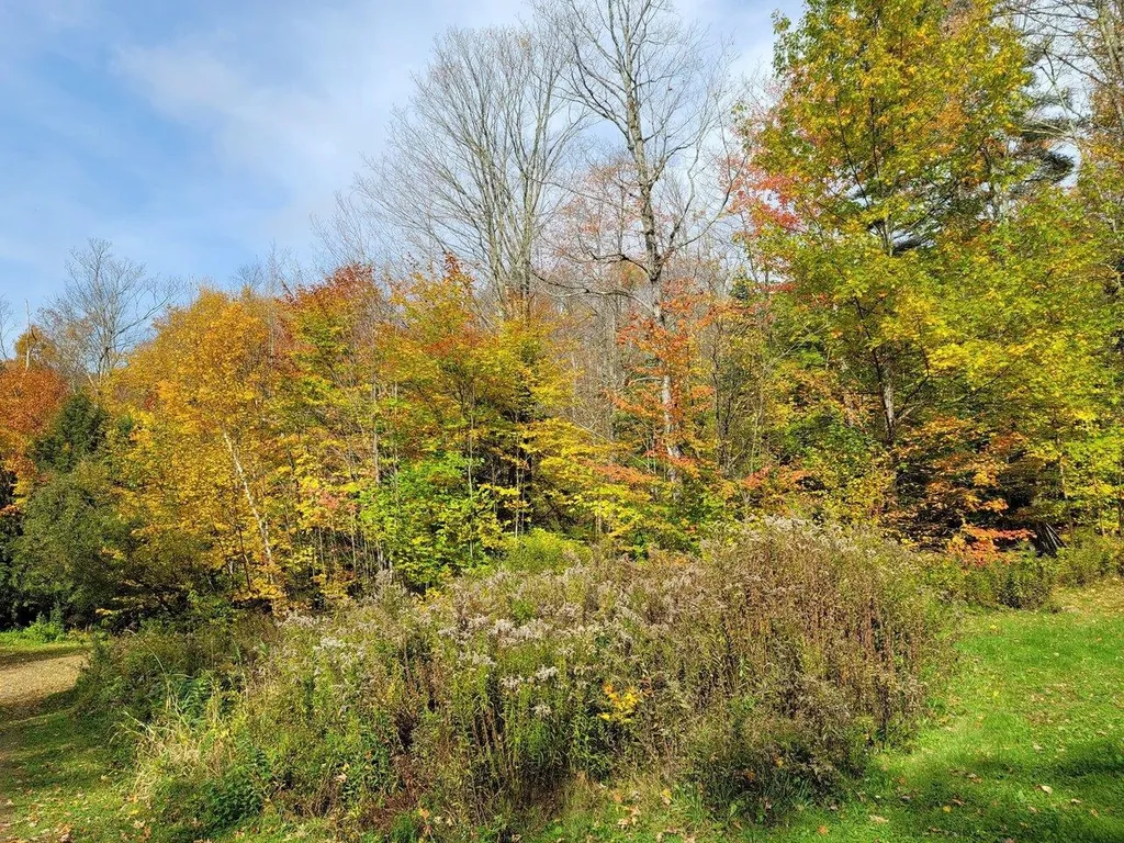 4156 North Hollow Road Granville VT 05747