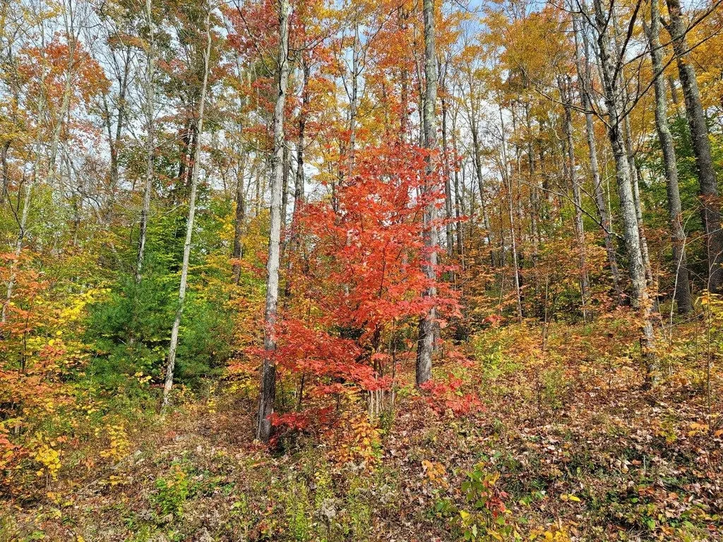 4156 North Hollow Road Granville VT 05747