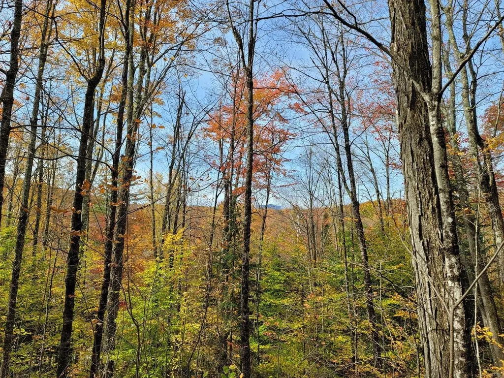 4156 North Hollow Road Granville VT 05747