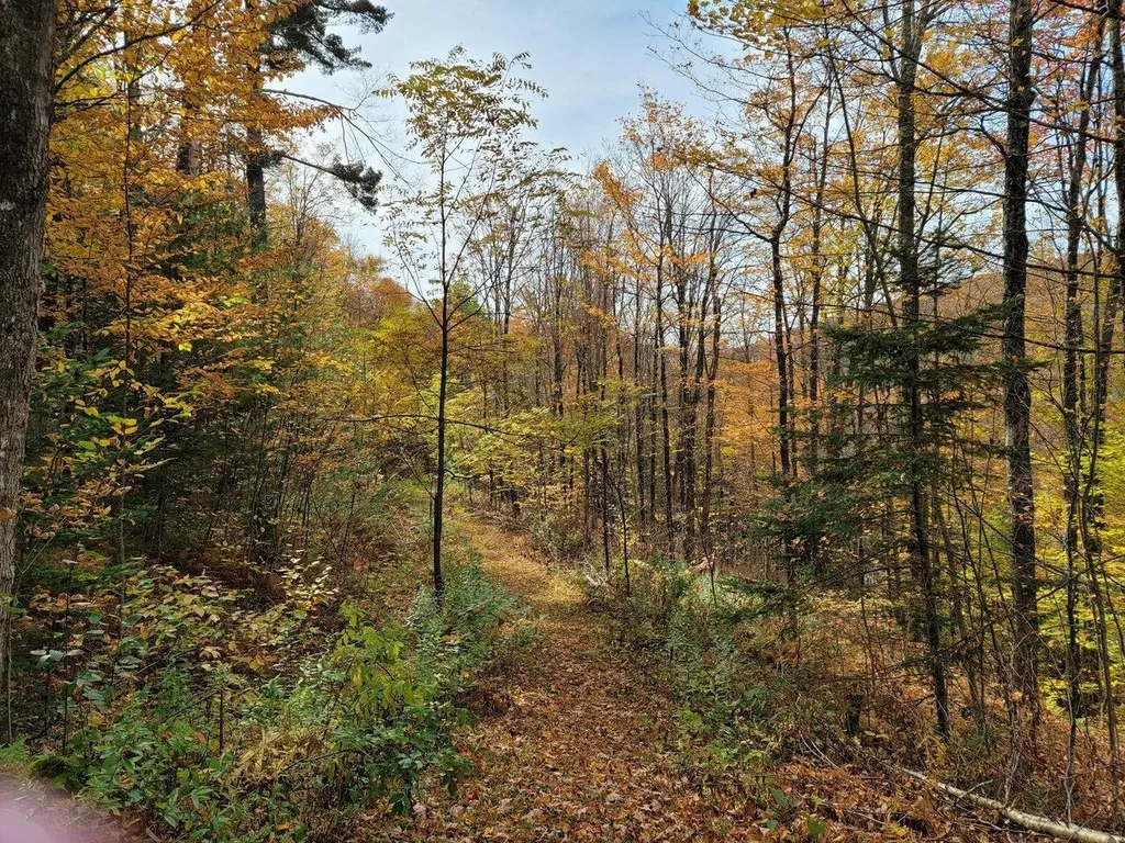 4156 North Hollow Road Granville VT 05747