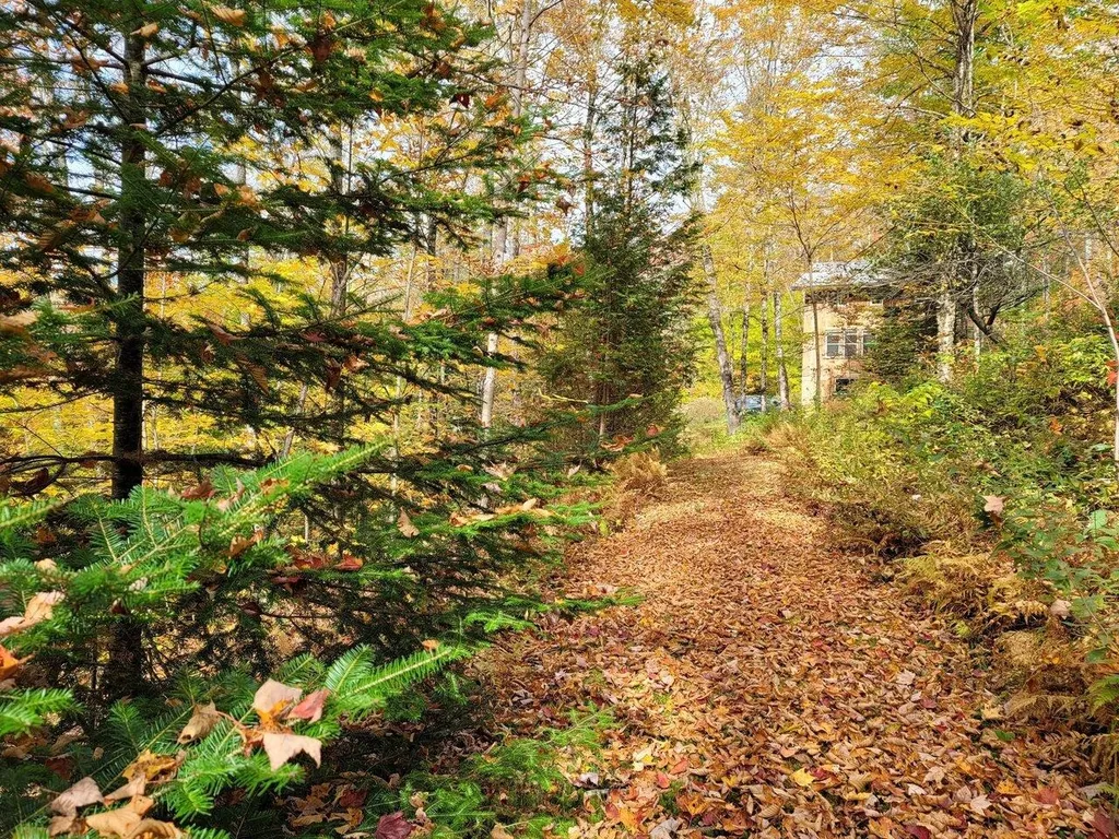 4156 North Hollow Road Granville VT 05747