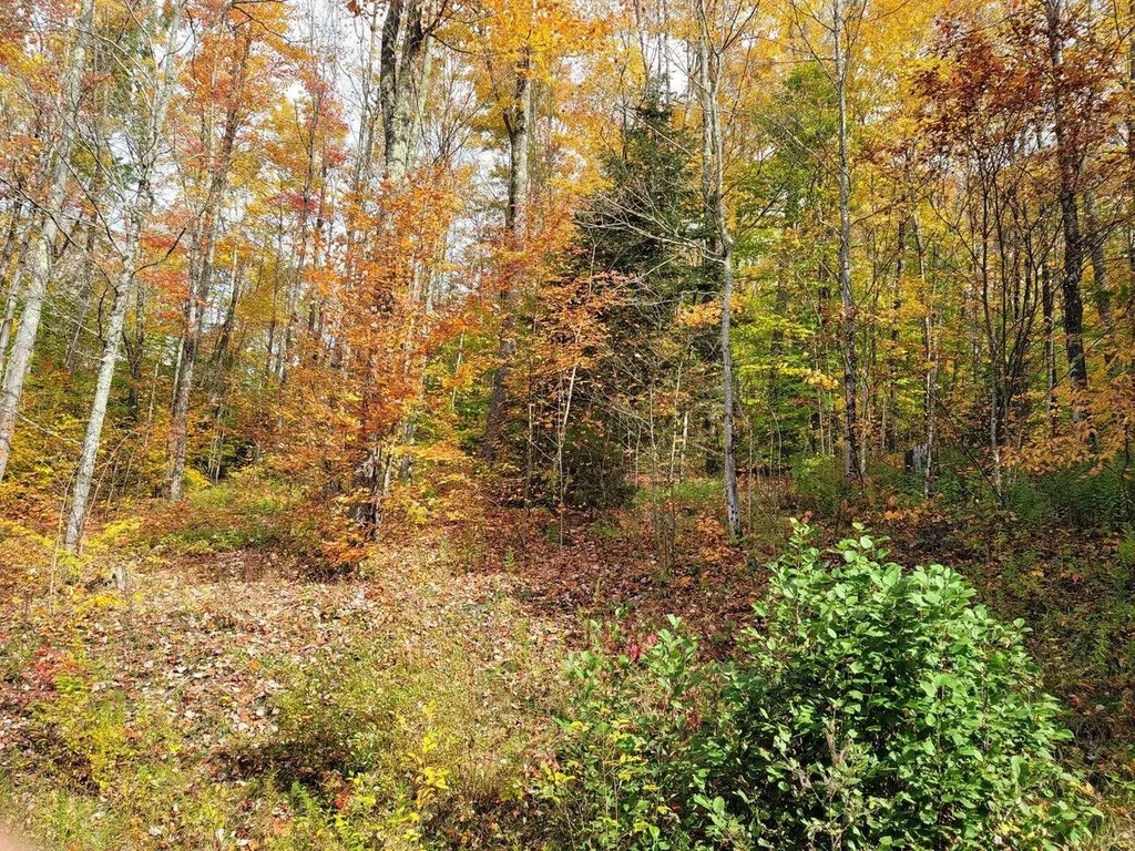 4156 North Hollow Road Granville VT 05747