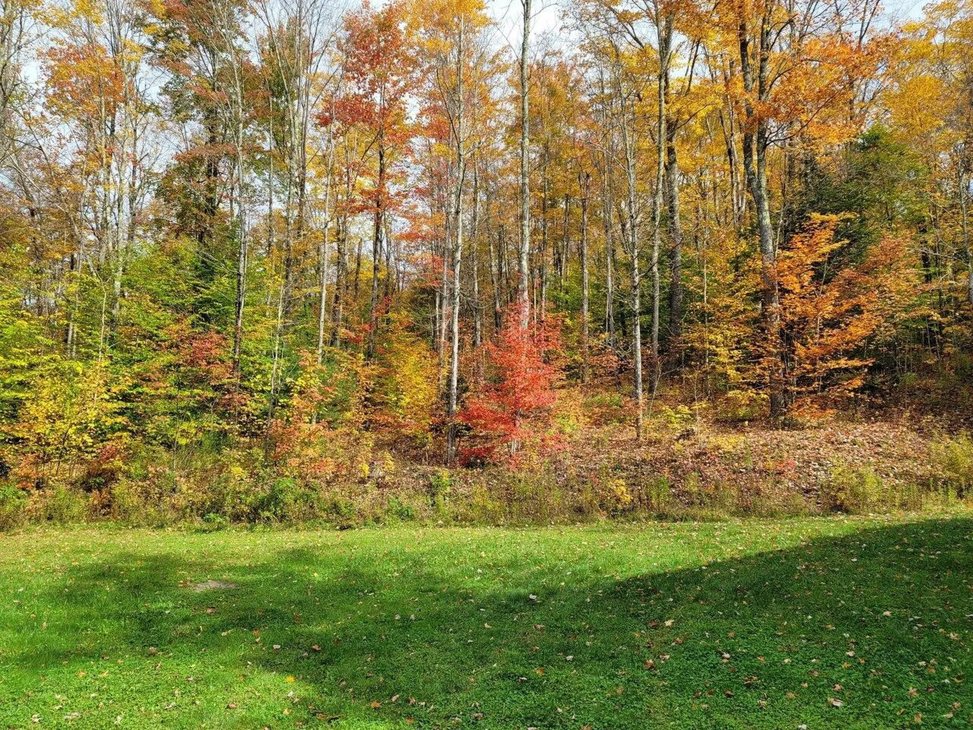 4156 North Hollow Road Granville VT 05747