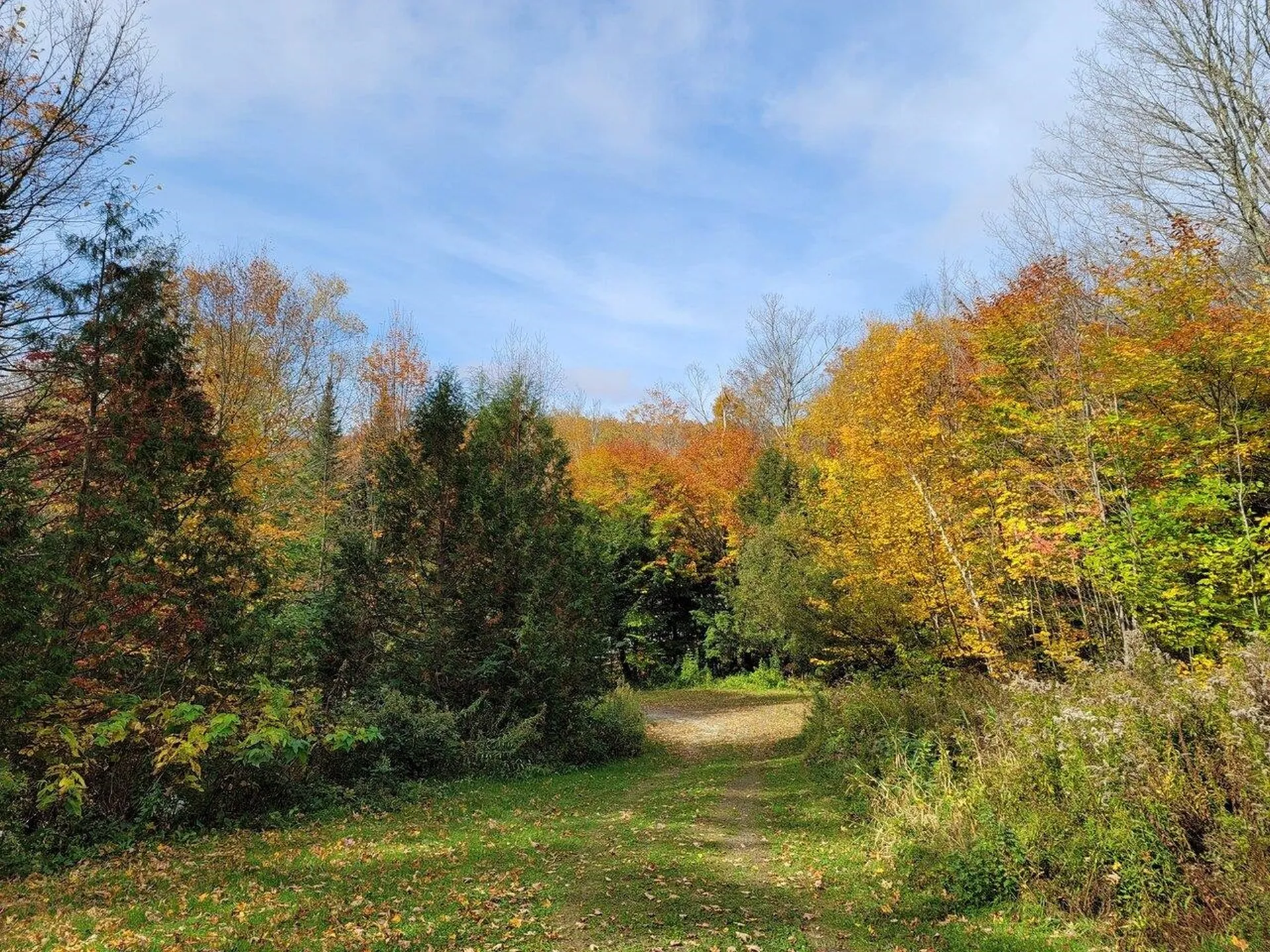 4156 North Hollow Road Granville VT 05747