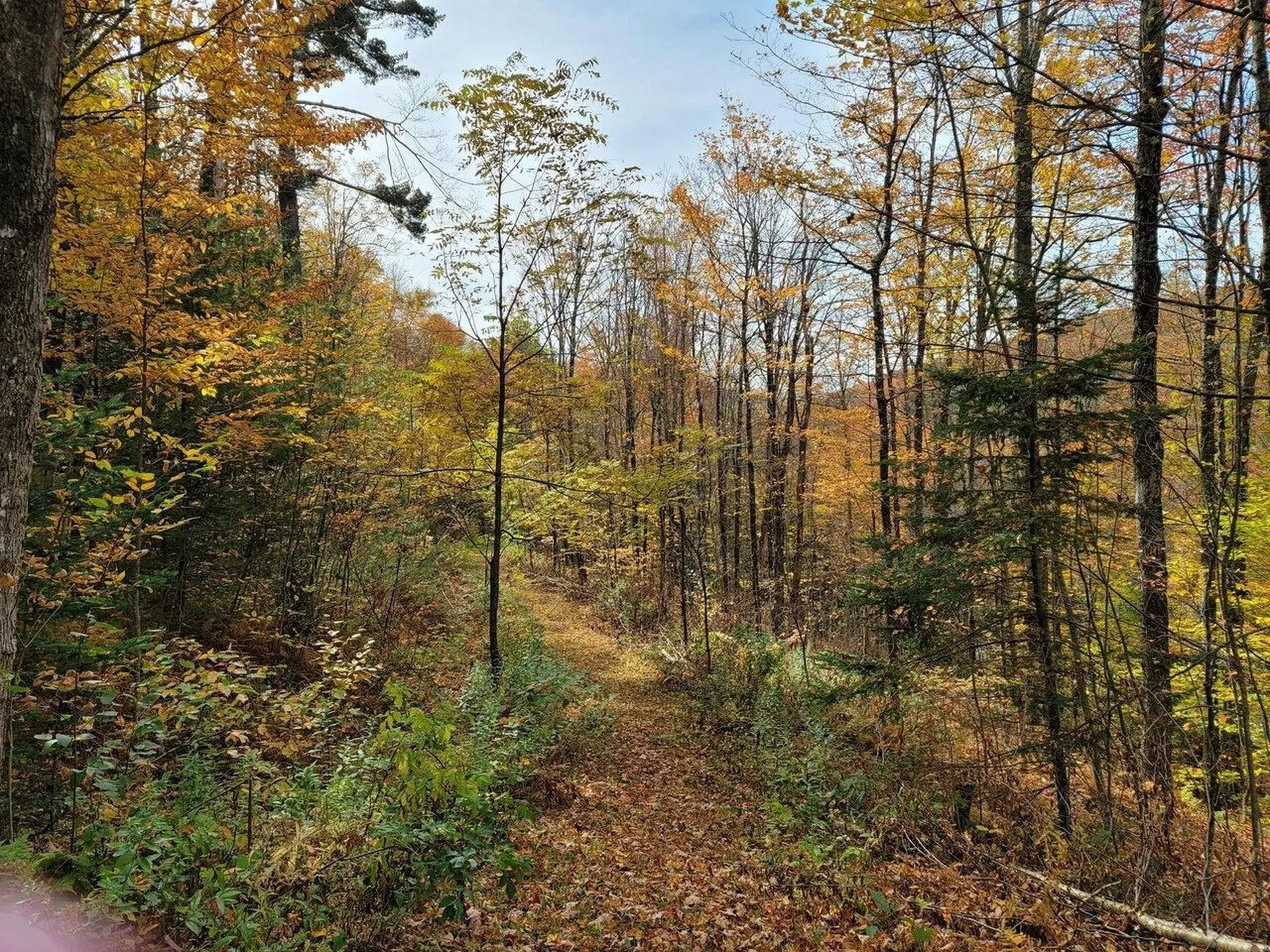 4156 North Hollow Road Granville VT 05747