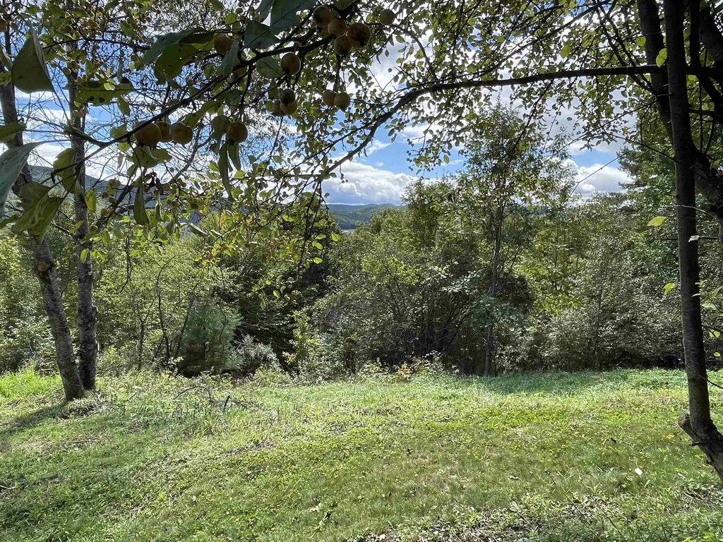 70 Stage Road Strafford VT 05070