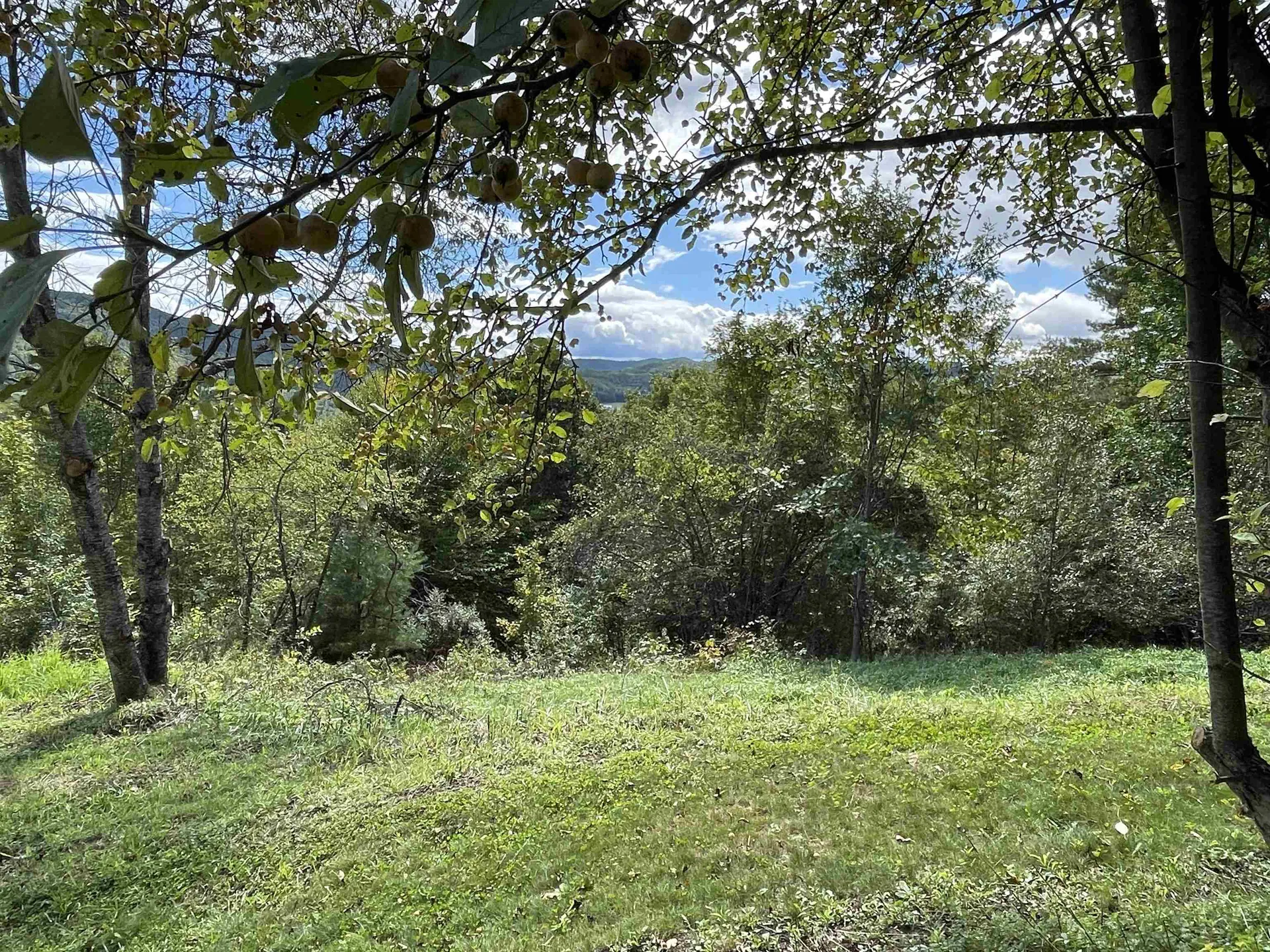 70 Stage Road Strafford VT 05070