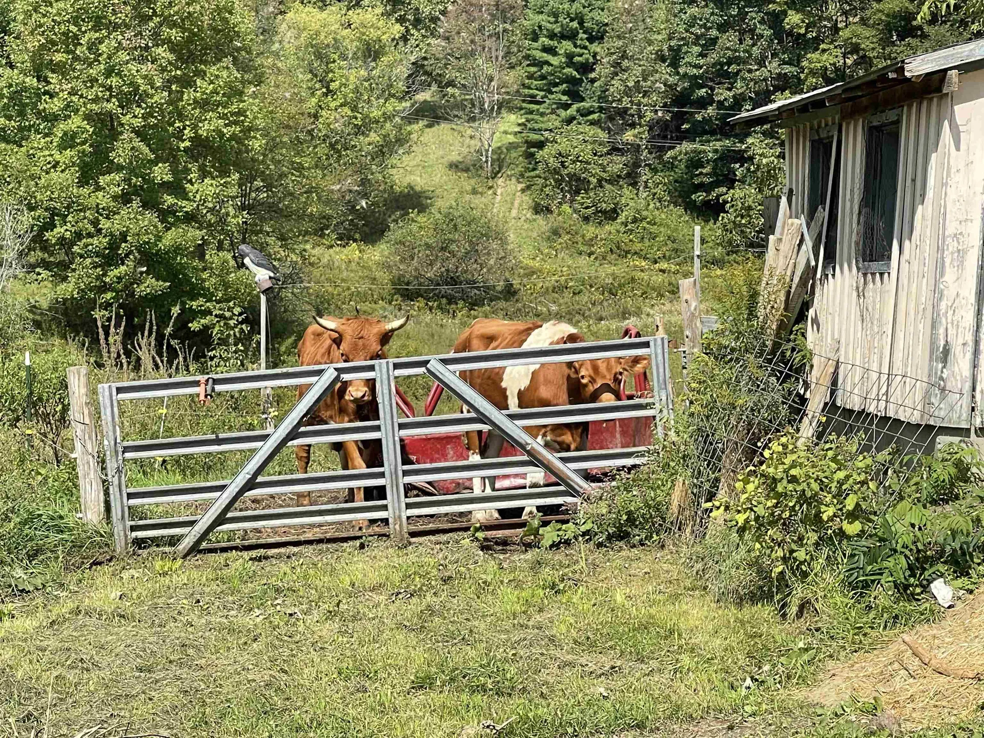 129 West Trottier Road Royalton VT 05068