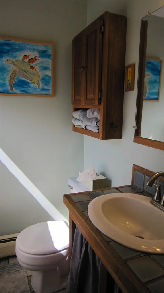 284 East Town Farm Road Putney VT 05346