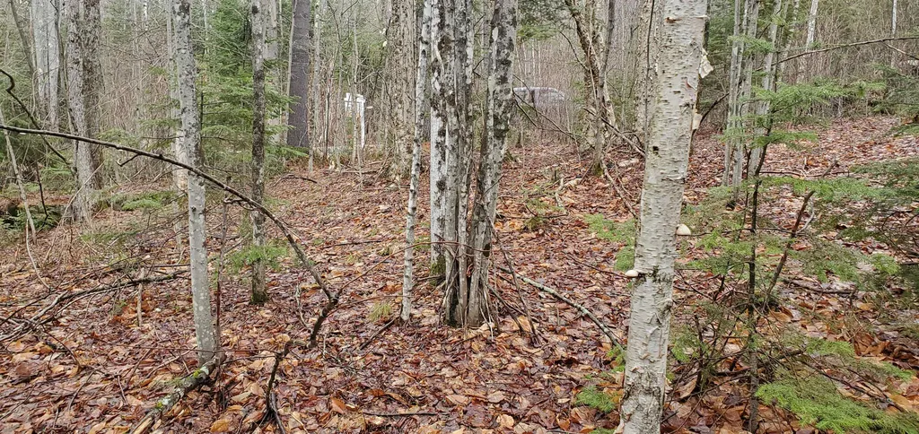 00 Piermont Heights Road Piermont NH 03779