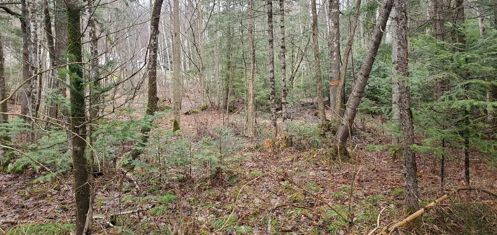 00 Piermont Heights Road Piermont NH 03779