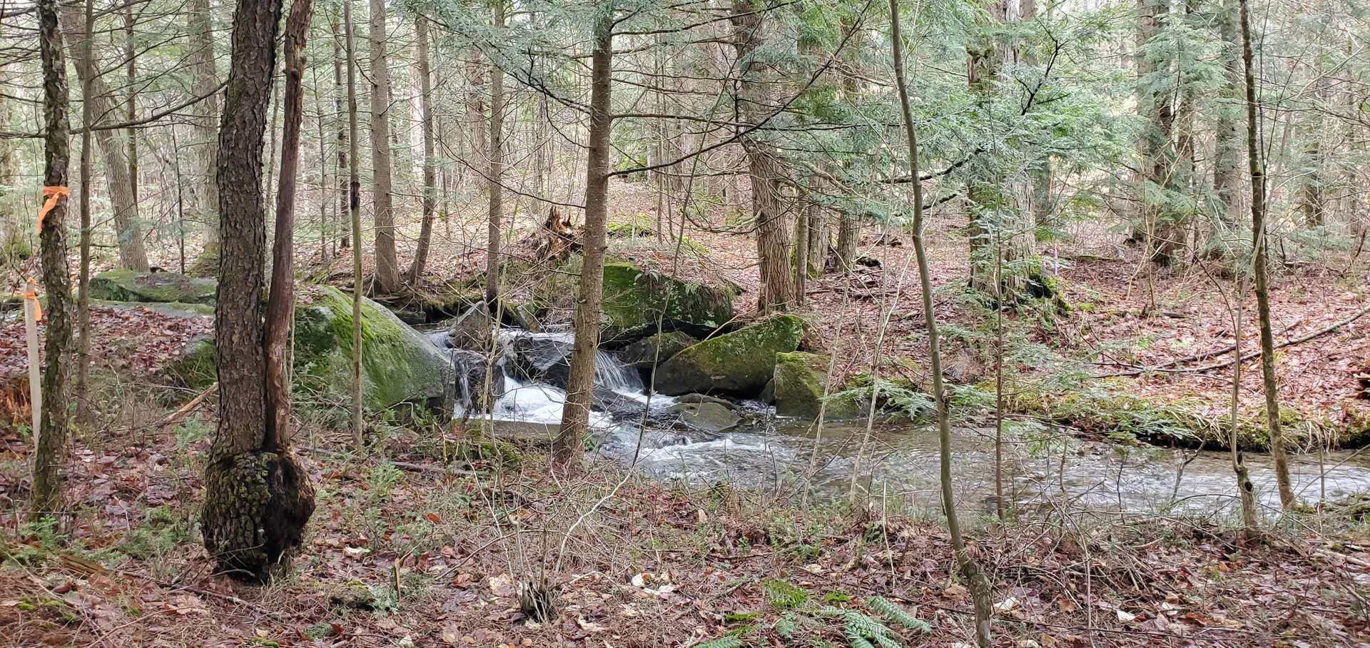00 Piermont Heights Road Piermont NH 03779